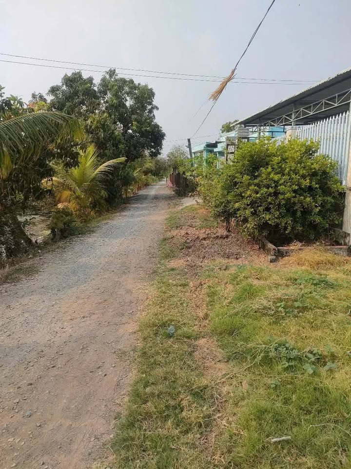 Đất nền Bình Ân Gò Công Đông 276m² giá 390 triệu - Đầu tư sinh lời hấp dẫn!