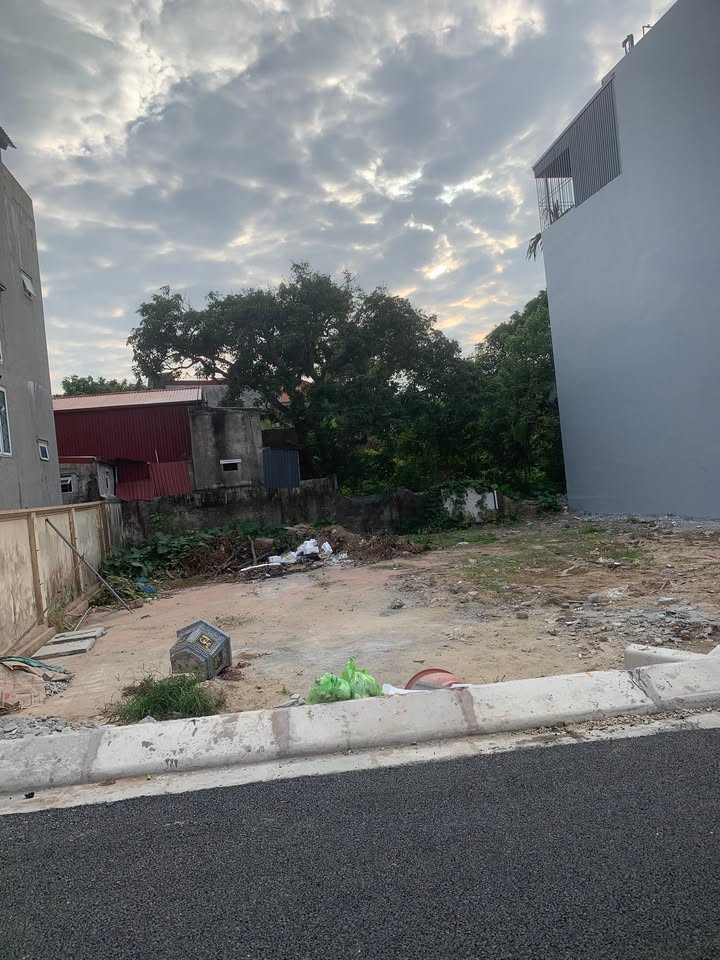 Đất thổ cư Đại Hợp, Kiến Thụy 133m² giá 1 tỷ - Đầu tư sinh lời hấp dẫn!