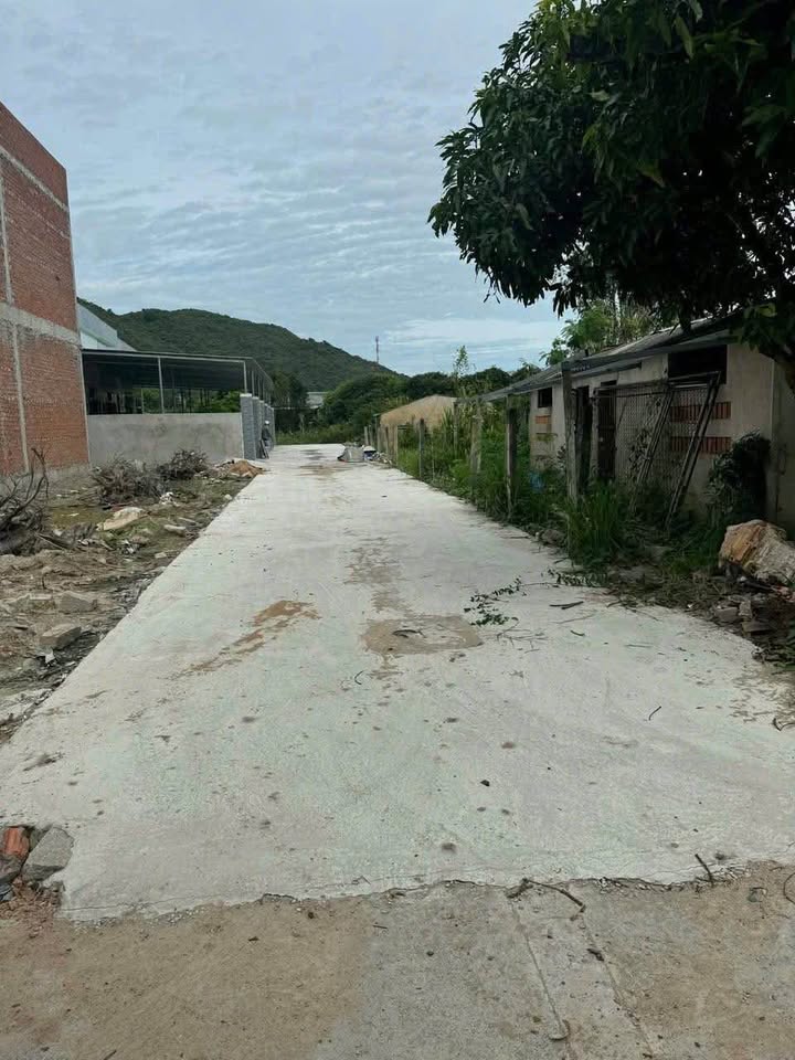 Đất nền 2 mặt tiền khu Hải Lâm, xã Long Hải, 125m² giá 1.45 tỷ - Cơ hội đầu tư tuyệt vời!