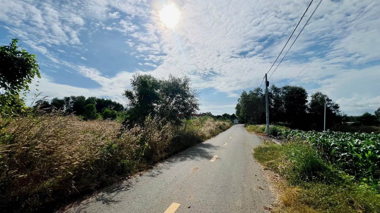 Đất nền liền kề Nguyễn Huệ Đất Đỏ 1.860m² giá 1.8 tỷ - Đầu tư sinh lời ngay!