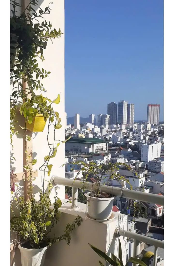 Căn hộ TM Hoàng Quân Nha Trang 55m² giá 2.3 tỷ - View biển tuyệt đẹp