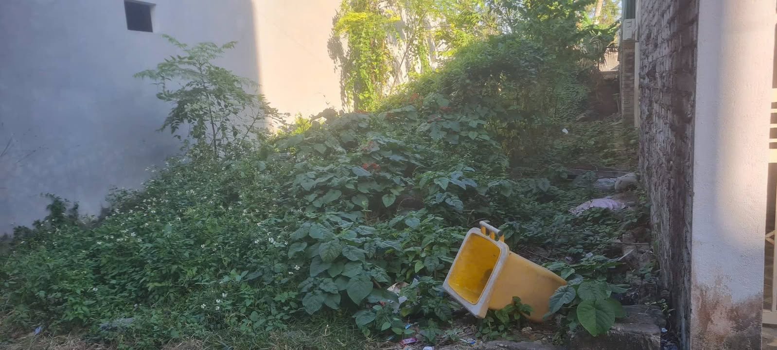 Đất chính chủ Nam Sầm Sơn 145m² giá 800 triệu - Vị trí đắc địa gần trường học