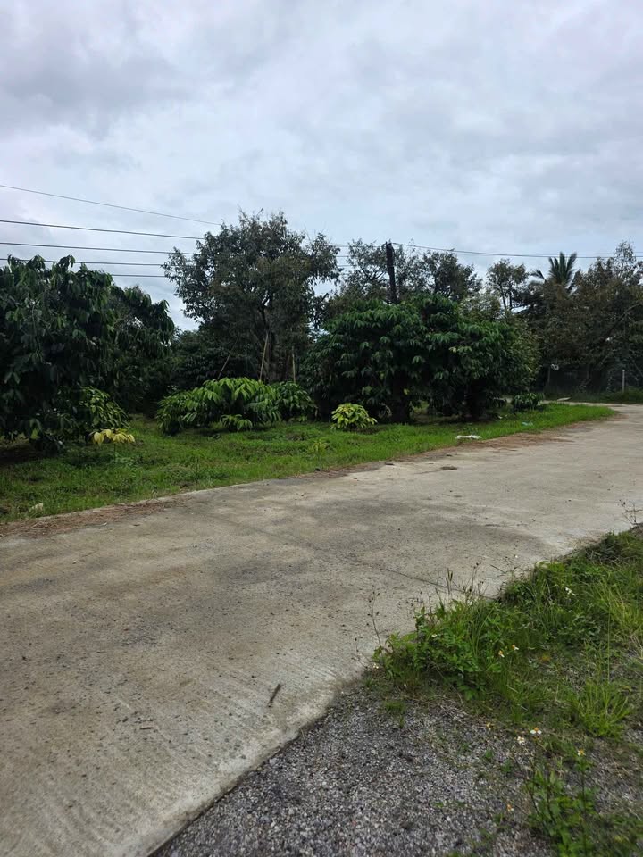 Đất nền Lộc Thành Bảo Lâm 138m² giá 950 triệu - Sổ đỏ chính chủ, đầu tư sinh lời!