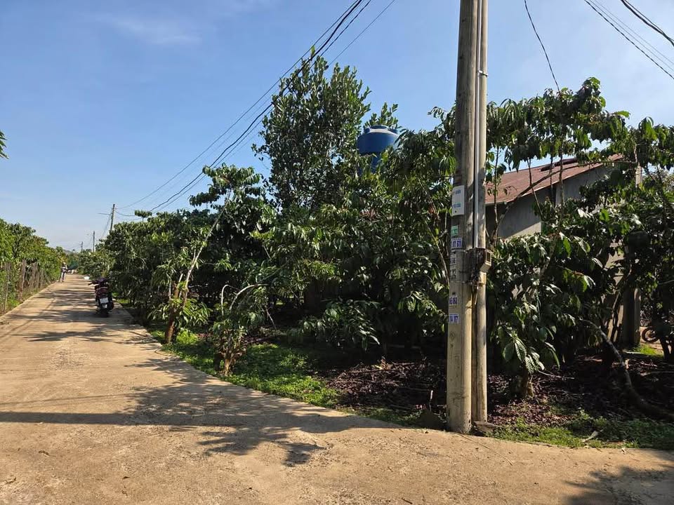 Đất nền Lộc Thanh Bảo Lộc 3157m² giá 6 tỷ - Tiềm năng đầu tư lớn!