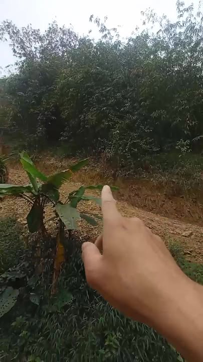 Đất RSX 10ha tại Lương Hòa Bình giá chỉ 2.7 tỷ - Đầu tư sinh lời bền vững!