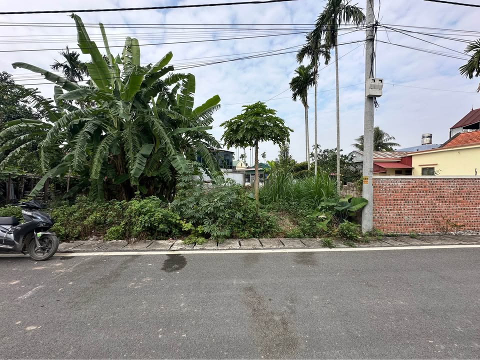 Đất mặt đường trục liên thôn Lâm Động, Thủy Nguyên 108m² giá 2.7 tỷ - Cơ hội hiếm có!