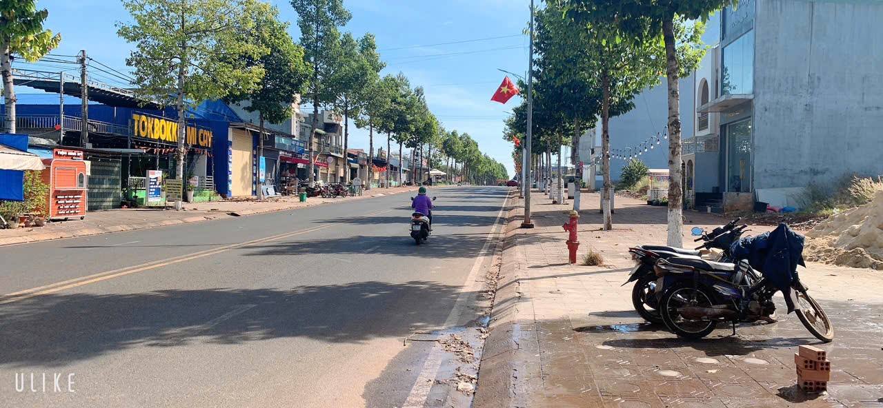 Đất nền Lộc Ninh 100m² giá 2 tỷ - Đầu tư sinh lời ngay sát siêu thị!