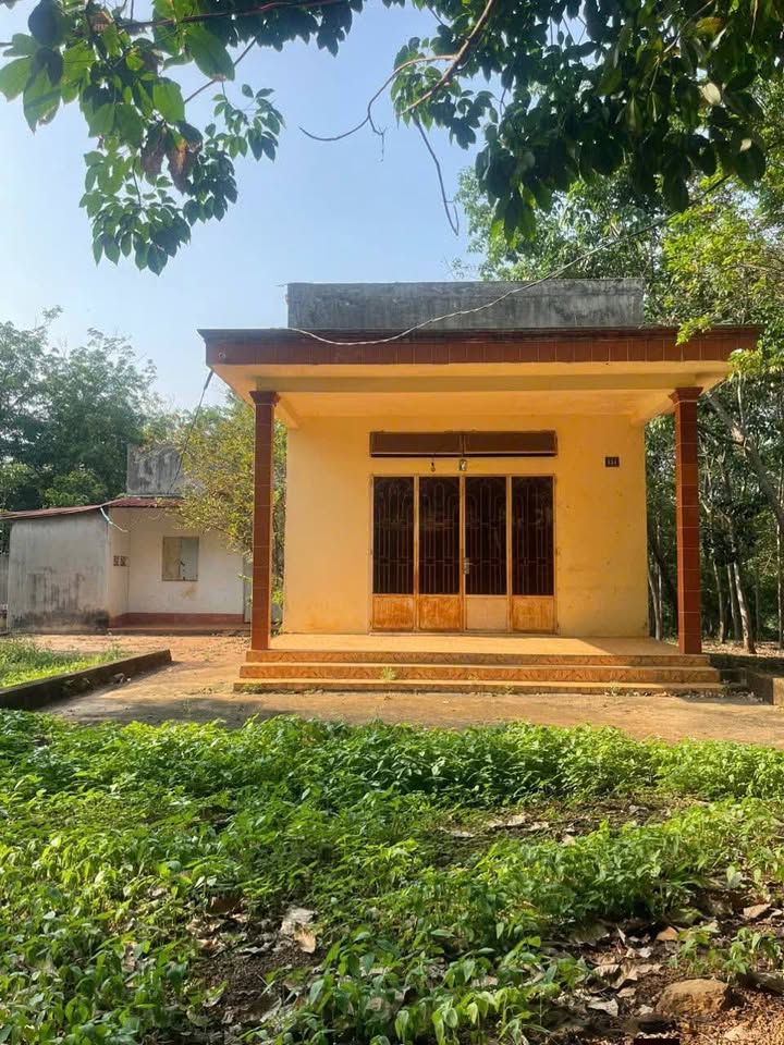 Đất nông nghiệp Thanh An Dầu Tiếng 28.000m² chỉ 2.8 tỷ - Cơ hội đầu tư hiếm có!