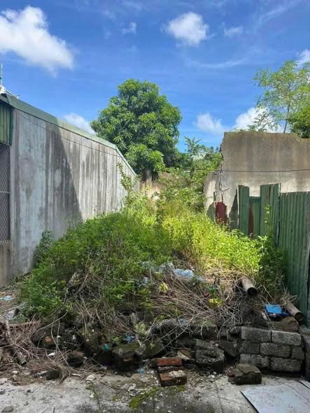 Đất nền Đồng Vệ Thanh Hóa 84m² giá 1.5 tỷ - Ngõ xe máy, gần chợ và trường mầm non!