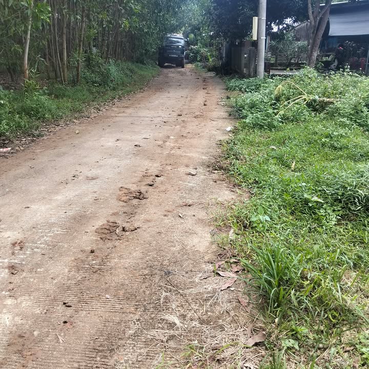 Bán đất vườn Tịnh Hiệp 350m² giá chỉ 2xx triệu - Cơ hội đầu tư hấp dẫn!