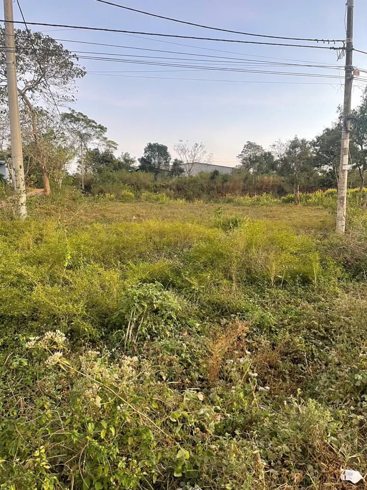 Đất nền lô góc 675m² tại tỉnh lộ 671, xã A Dơk - Giá chỉ 1.4 tỷ!