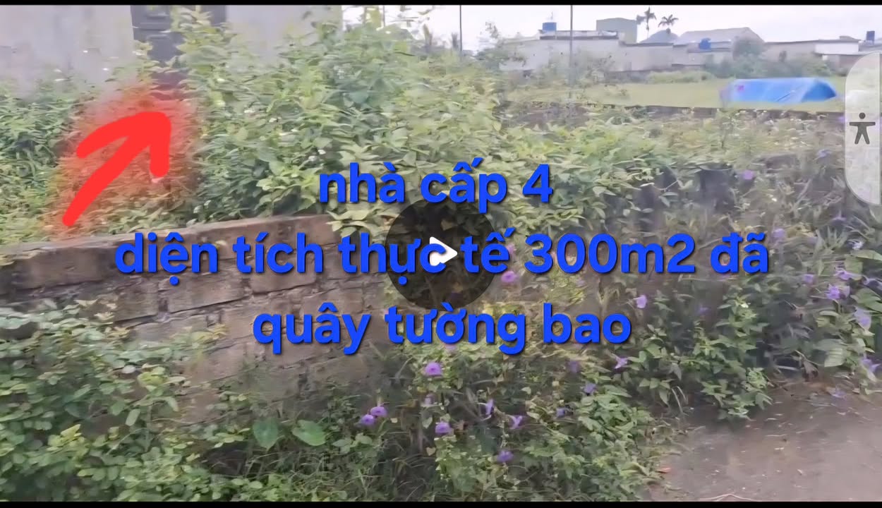 Đất nền Hoàng Quế, Đông Triều 209m² giá 1.4 tỷ - Cơ hội đầu tư hấp dẫn!