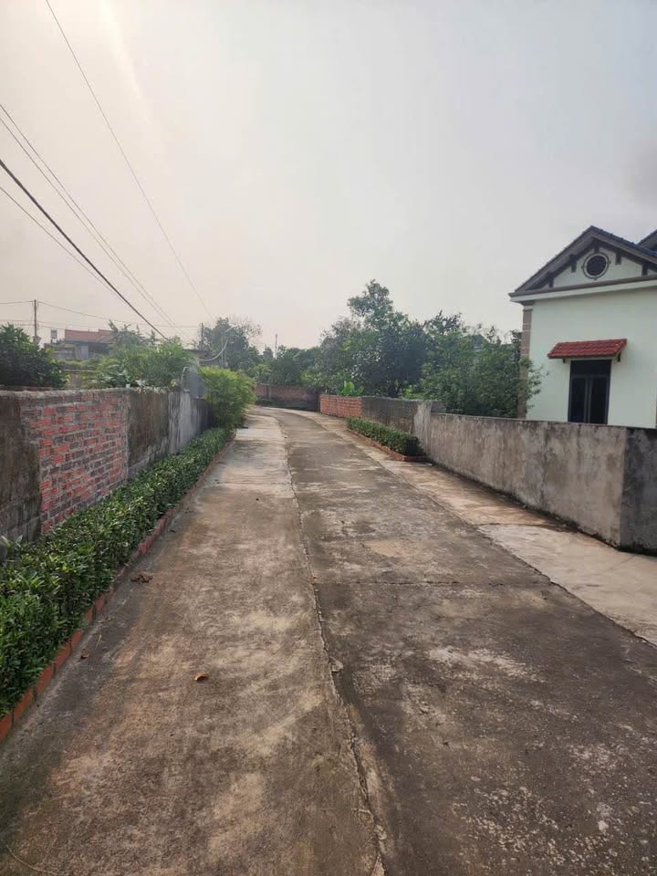 Đất nền Việt Dân, Đông Triều 103m² giá 300 triệu - Lô góc 2 mặt tiền hiếm có!