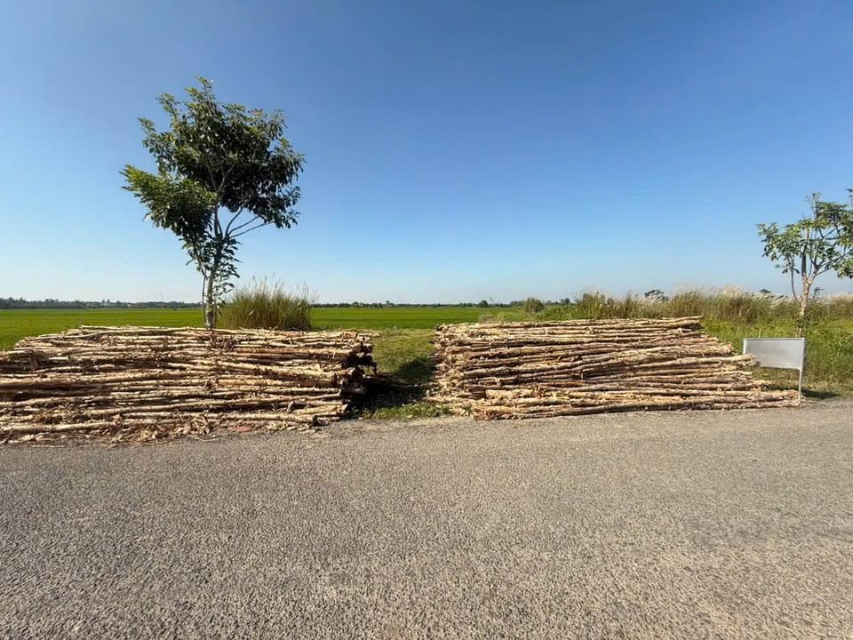 Đất nền mặt tiền Lâm Quang Ky, Châu Thành 170m² giá 930 triệu - Vị trí đắc địa cho đầu tư!