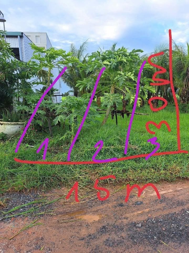 Đất nền 5x30m tại Mỹ Thạnh Đông, Đức Huệ, Long An - Sổ đỏ chính chủ, giá chỉ 420 triệu!