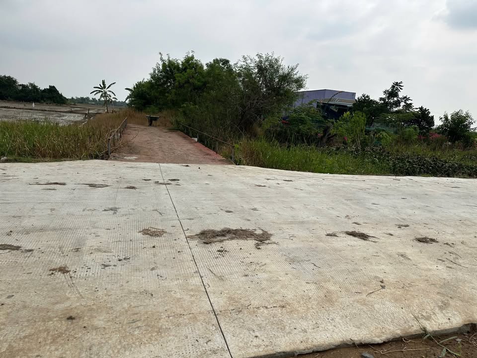 Đất nền Phước Đông, Cần Đước, Long An 453m² giá 2.5 tỷ - Sổ hồng chính chủ