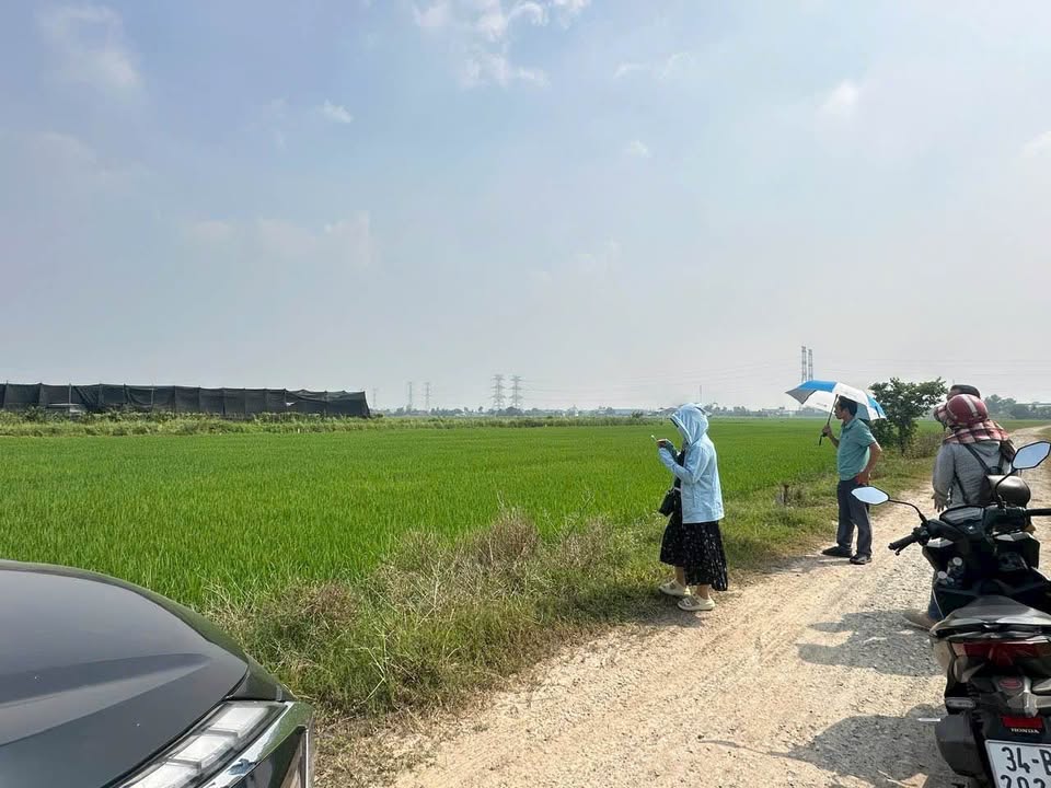 Đất nền xã Mỹ Hạnh, Đức Hòa 275m² giá thỏa thuận - Đường ô tô thông thoáng, sổ hồng chính chủ!