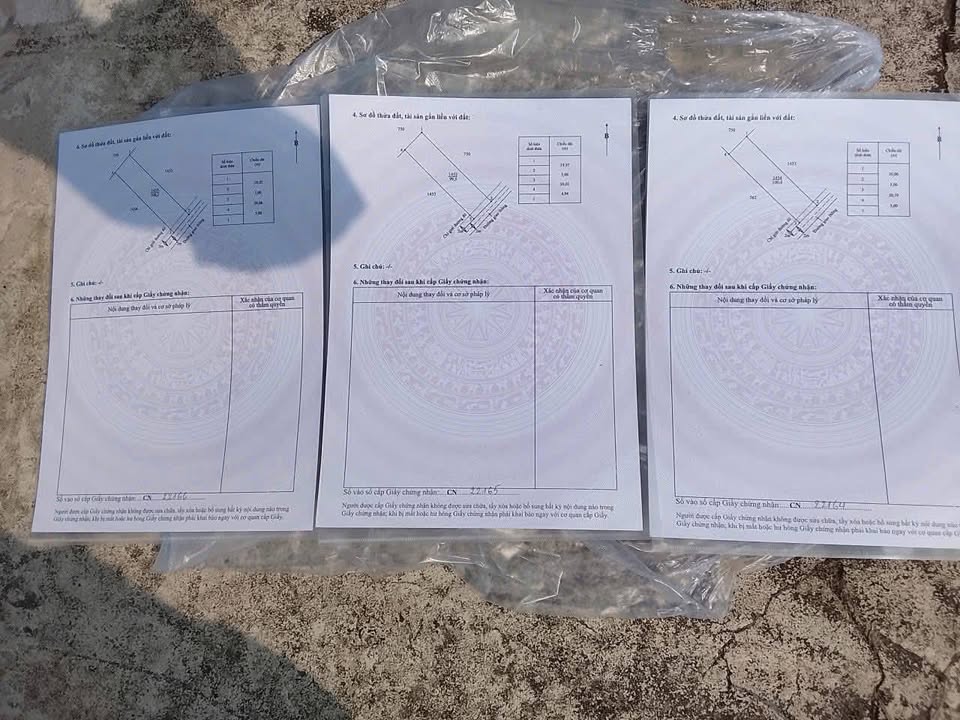 Đất nền xã Mỹ Lộc Long An 100m² giá 870 triệu - Nhanh tay sở hữu ngay!