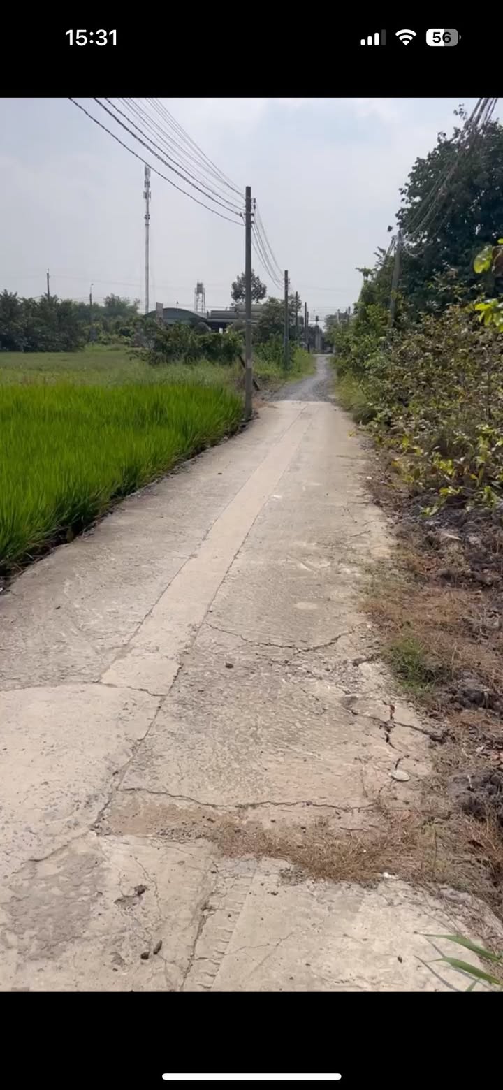 Đất nền đường Phước Hậu, Mỹ Lộc 1300m² giá 3.25 tỷ - Cơ hội đầu tư sinh lời!