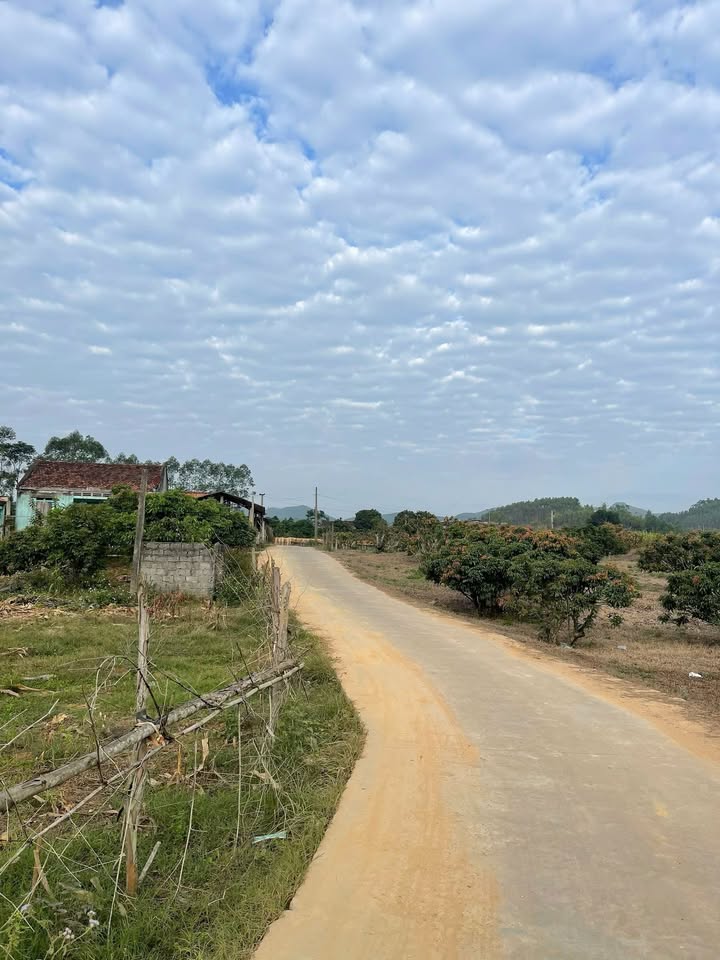 Đất vườn Lục Nam Bắc Giang 987m² giá chỉ dưới 1 tỷ - Cơ hội đầu tư tuyệt vời!