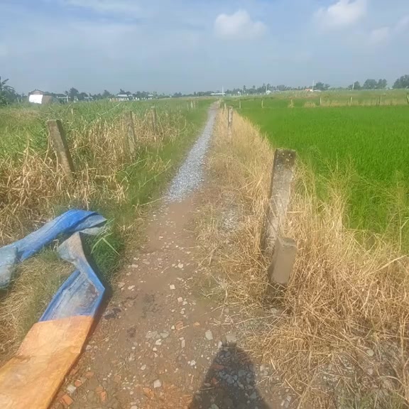 Đất nông nghiệp 1000m² xã Nhựt Tảo, giá 850 triệu - Cơ hội đầu tư tuyệt vời!