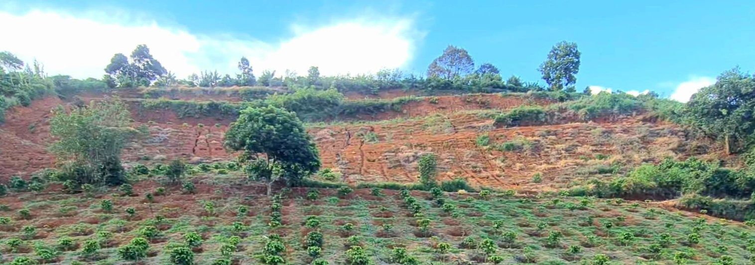 Đất nền Gia Hiệp 3.5 sào giá 805 triệu - Sổ đỏ chính chủ!