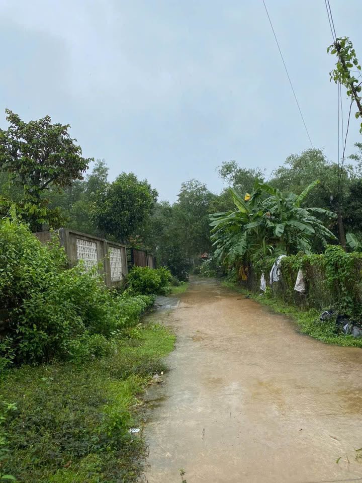 Đất nền Kim Sơn, Thủy Bằng 400m² giá 3.1 tỷ - Không khí Đà Lạt thu nhỏ!