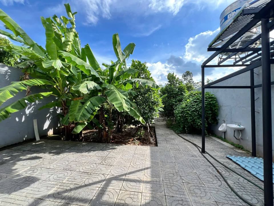 Nhà mặt tiền đường nhựa số 55, Tam Long, Bà Rịa - Vũng Tàu, 450m² - Giá chỉ 3.6 tỷ