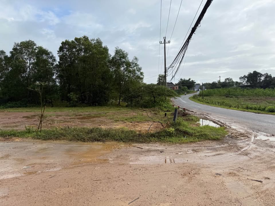 Đất nền Dạ Lê, phường Thanh Thủy, TP Huế 80m² giá từ 300 triệu - Cơ hội đầu tư sinh lời!