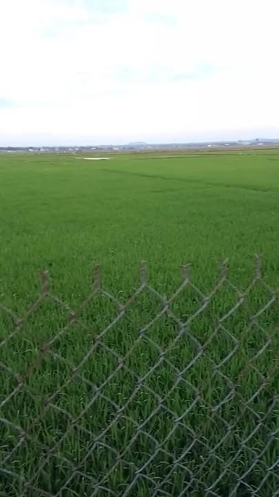 Đất Ea Bar 1800m² giá 600 triệu - Đầu tư làm nhà vườn lý tưởng!