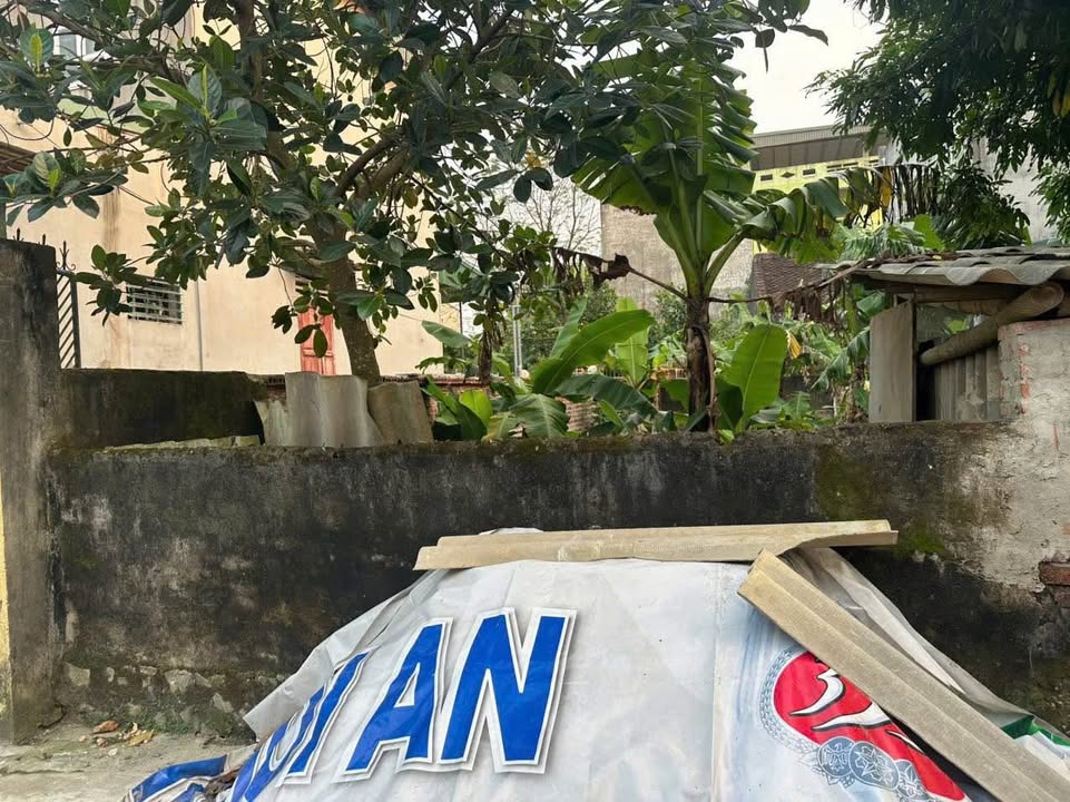 Đất nền Đông Cương - Thanh Hóa 60m² giá 830 triệu - Sổ đỏ chính chủ!