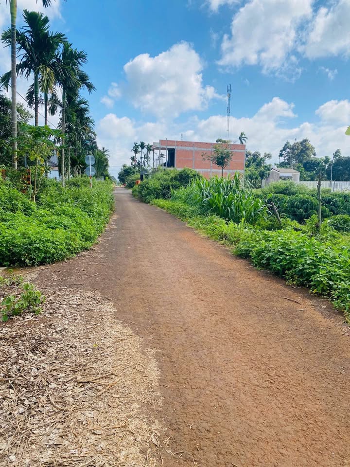 Đất thổ cư Thôn 7 Tân Lập 160m² giá 1.2 tỷ - Cơ hội đầu tư tuyệt vời!