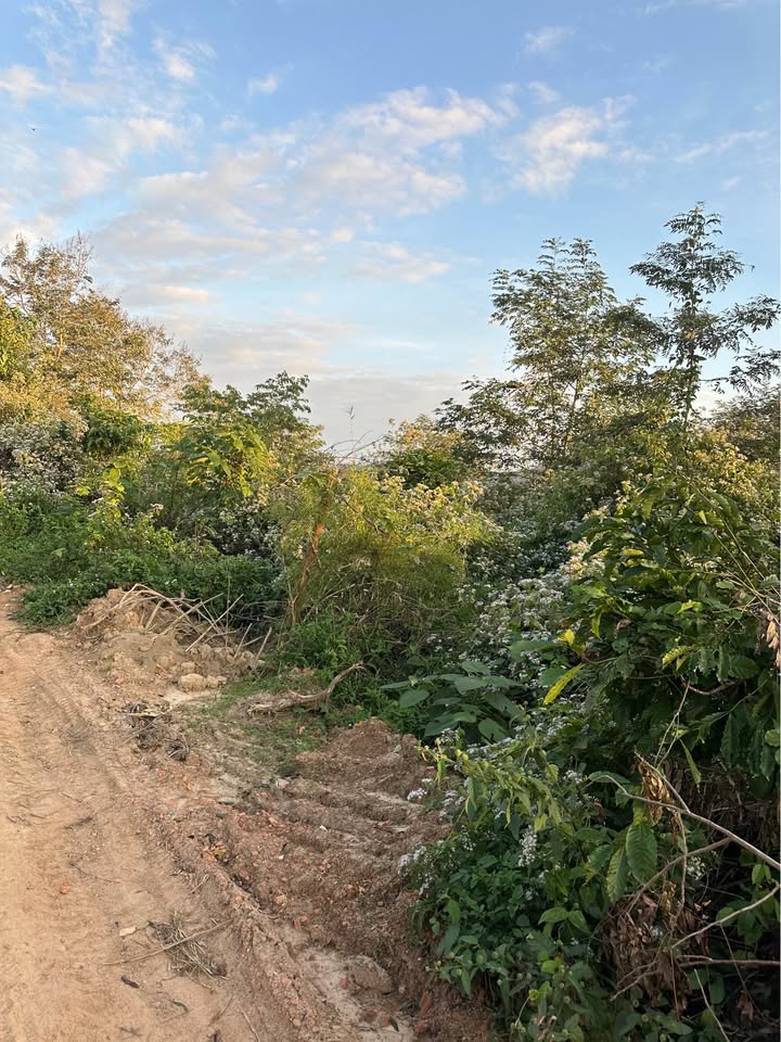 Đất trống 4.3ha tại Dang Kang, Krông Bông - Giá chỉ 920 triệu!