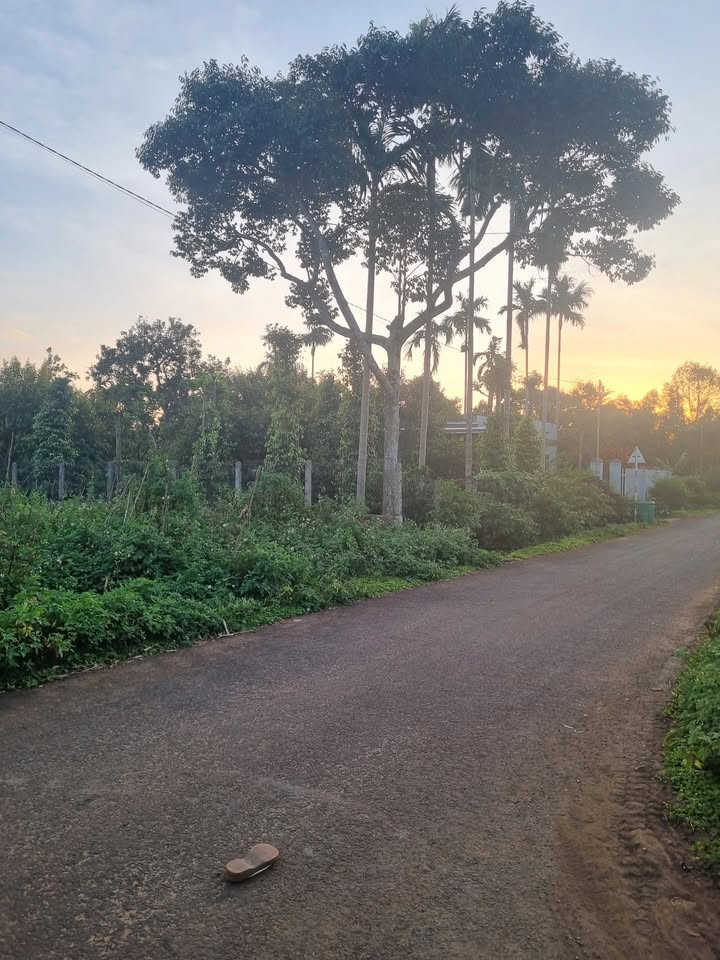 Đất thổ cư Hẻm D5 Ea Tu 138m² giá 900 triệu - Cơ hội đầu tư hấp dẫn!