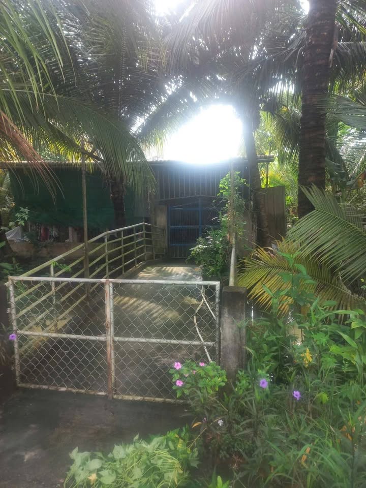 Đất nền mặt tiền Lộ Làng, Chợ Gạo, Tiền Giang - Giá chỉ từ 850 triệu