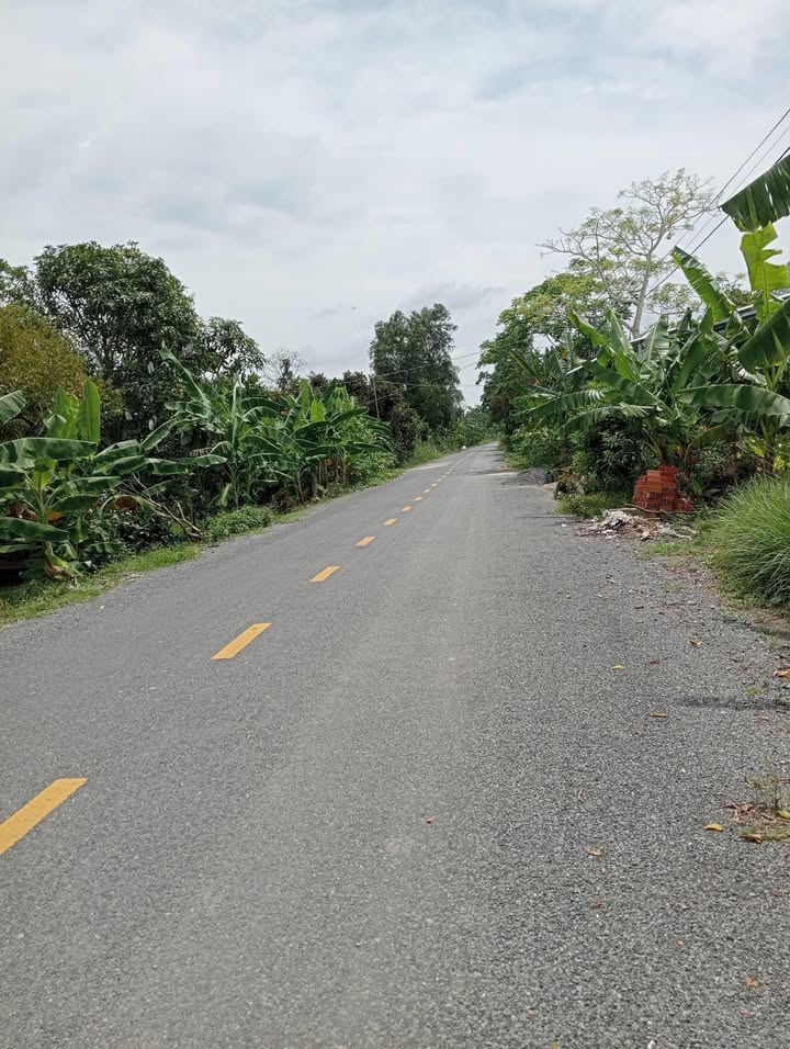 Đất mặt tiền Tỉnh Lộ 864, Mỹ Lương, Cái Bè, 14 công, giá 3 tỷ - Cơ hội đầu tư tuyệt vời!