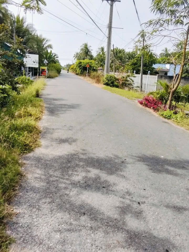 Nhà cấp 4 mặt tiền ĐX07 Vang Quới Tây, Bình Đại 297m² giá 850 triệu - Kinh doanh thuận lợi!