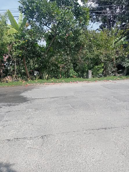 Đất nền mặt tiền đường 864, Cai Lậy, 160m² giá 1.65 tỷ - Đầu tư sinh lời ngay!