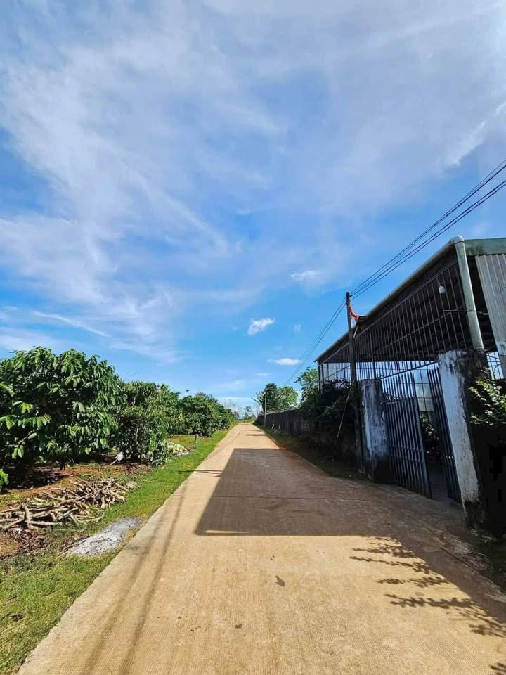 Đất nền An Phú, Pleiku 250m² giá thỏa thuận - Đường bê tông ô tô vào tận nơi!