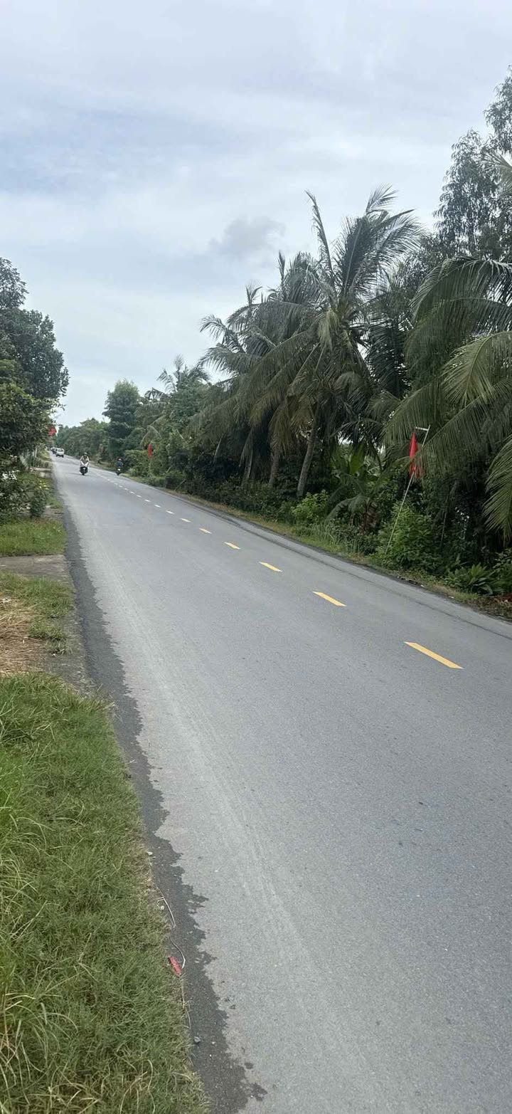 Đất thổ cư 116m² mặt tiền đường Tỉnh 934, Tài Văn - Trần Đề - Sóc Trăng chỉ 2.5 tỷ