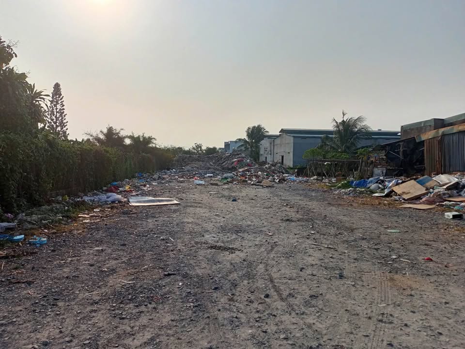 Đất thổ cư 2350m² mặt tiền Tân Sao Mai, Đức Hòa chỉ 16.5 tỷ - Đầu tư sinh lời ngay!