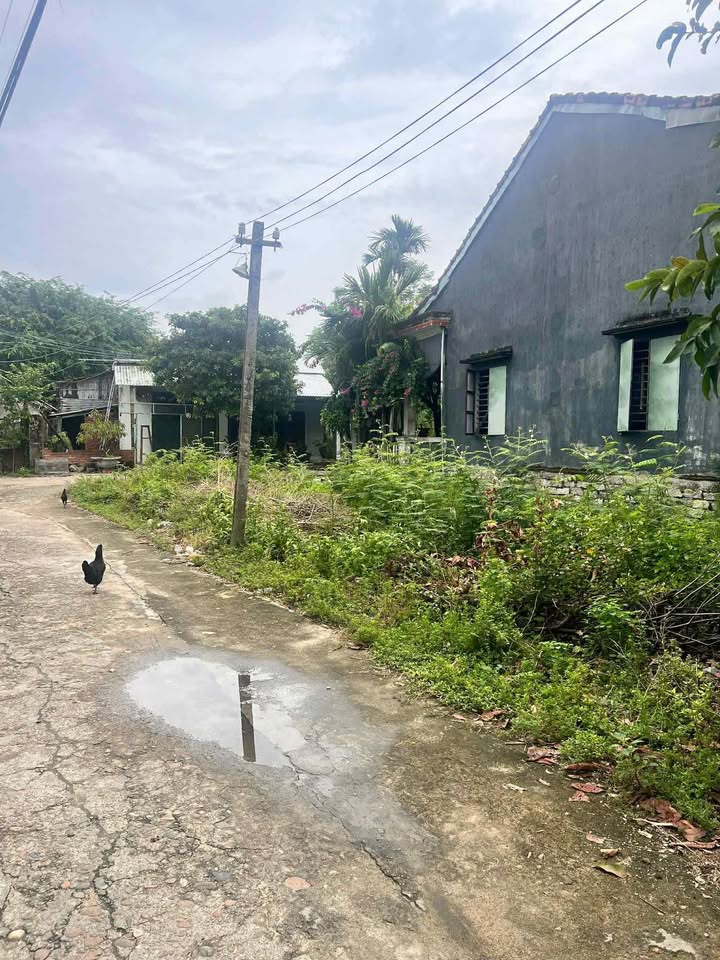 Đất nền Duy Vinh 108m² giá 700 triệu - Sổ hồng chính chủ, đầu tư sinh lời!