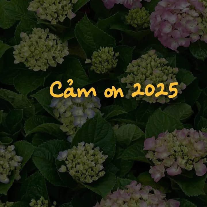 Đất thổ cư mặt tiền đường Nguyễn Phúc Chu 150m² giá 1.83 tỷ - Cơ hội đầu tư tuyệt vời!