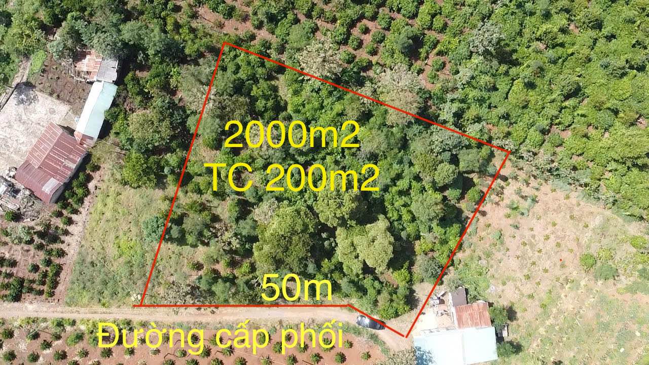 Đất thổ cư 2000m² tại Quảng Hiệp, Cư M'gar, Đắk Lắk - Giá chỉ 720 triệu, pháp lý đầy đủ!