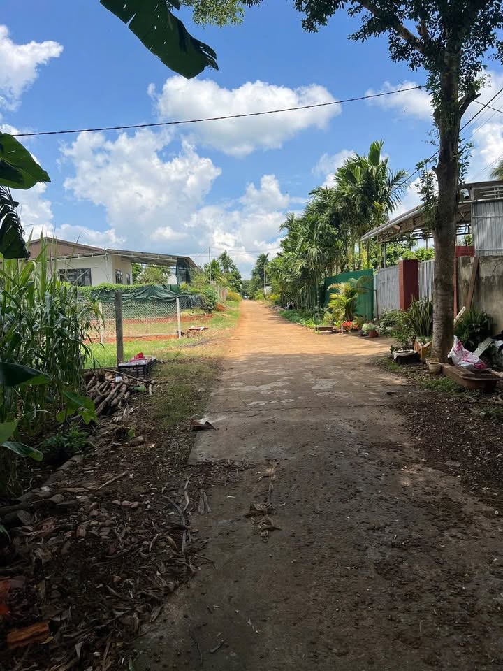 Đất nền Ea Kao 520m² giá 1.2 tỷ - Tiện ích đầy đủ, giao thông thuận lợi!