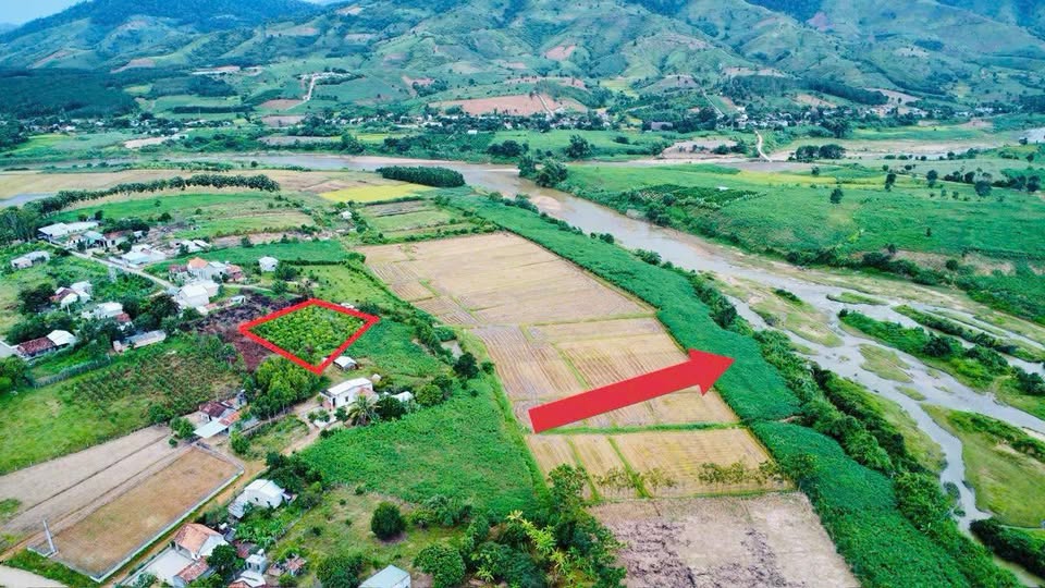 Đất nền 10.000m² Tân Lập, Kon Rẫy giá chỉ 600 triệu - Cơ hội đầu tư hấp dẫn!