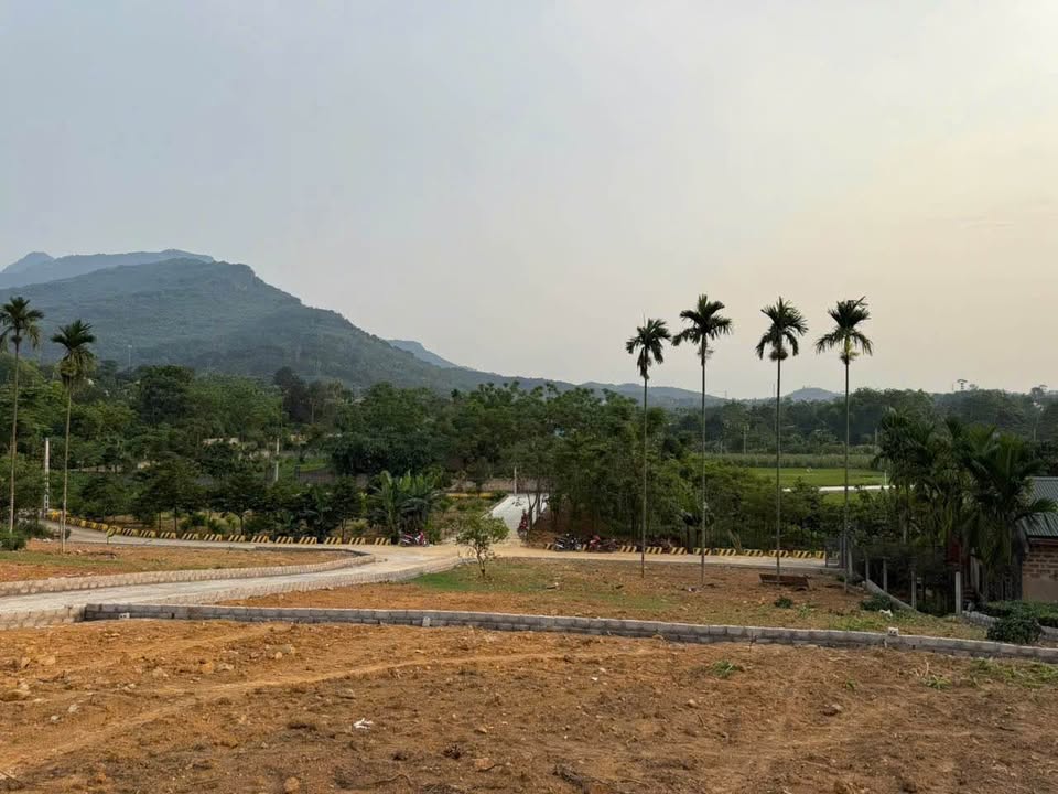 Đất thổ cư Thôn 8, xã Ba Trại, 500m² giá 3 tỷ - Cơ hội đầu tư vàng!