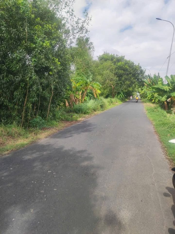 Đất mặt tiền lộ nhựa Gò Quao 4364m² giá chỉ 1.2 tỷ - Cần bán gấp!