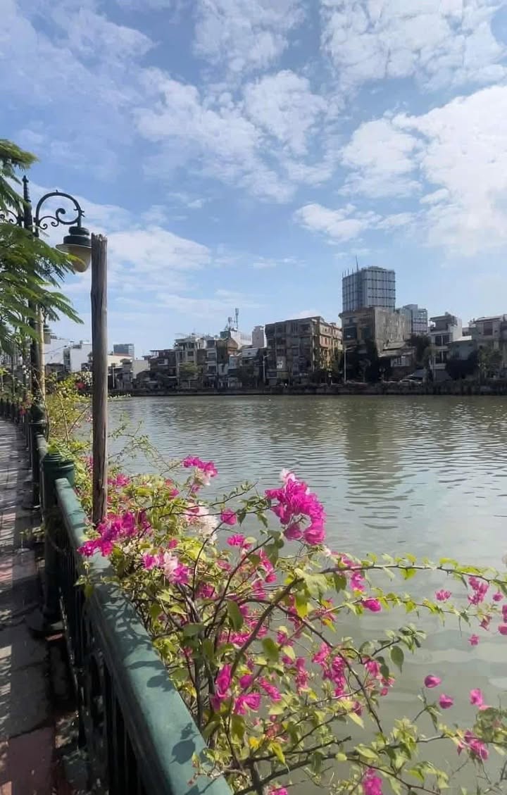 Townhouse Hoàng Huy Riverside Hồng Bàng 145m² giá thỏa thuận - Căn góc view Sông Tam Bạc