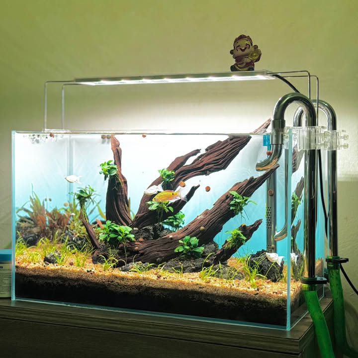 Lô Đất 128,4m² tại An Đồng - Hải Phòng giá 6.163 tỷ - Đường thông thoáng, thuận tiện di chuyển!